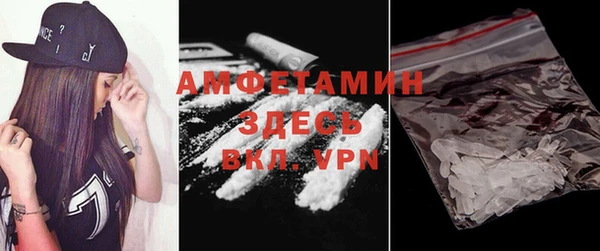ГАЛЛЮЦИНОГЕННЫЕ ГРИБЫ Верея