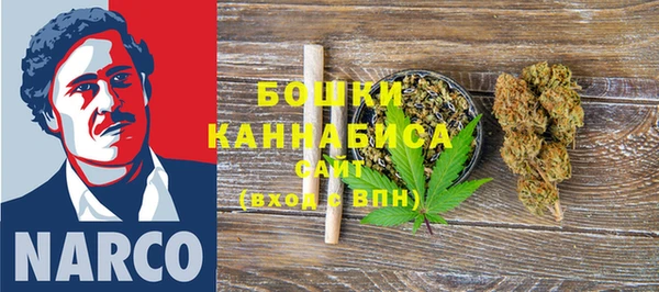 ГАЛЛЮЦИНОГЕННЫЕ ГРИБЫ Верея