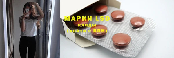 ГАЛЛЮЦИНОГЕННЫЕ ГРИБЫ Верея