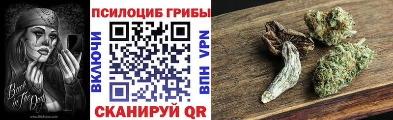 Купить где  Невельск  Псилоцибиновые грибы прущие грибы 
